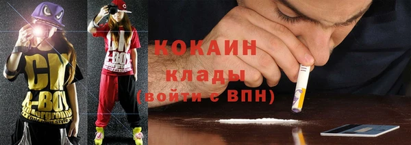 apvp Бородино