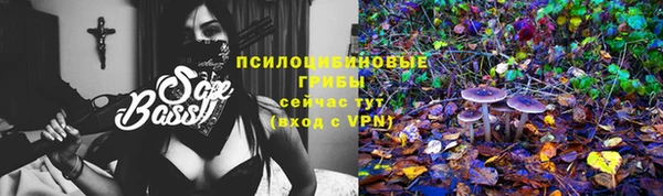 apvp Бородино